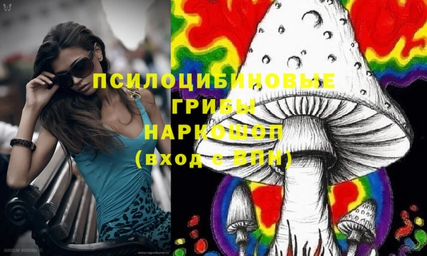 мяу мяу мука Арсеньев